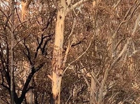 Global Care Disaster Relief Team heading into Bushfire affected Bateman's Bay during January 2020